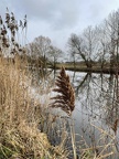 2021-01-24 getrennte Corona Grünkohlwanderung Familien Demuth, Glagau, Hägerling, Heuer, Lüssmann, Piening und Gabi und Uschi 008